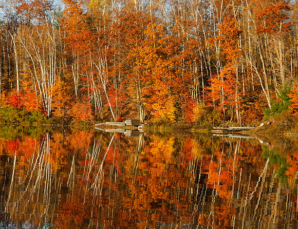 Autumn Splendor on the Lake