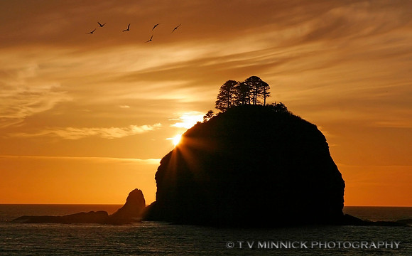 Seastack Sunset