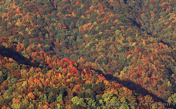 Autumn Mountainside