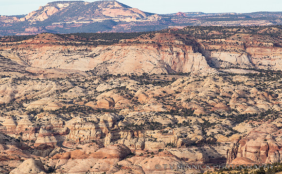 Escalante Canyons