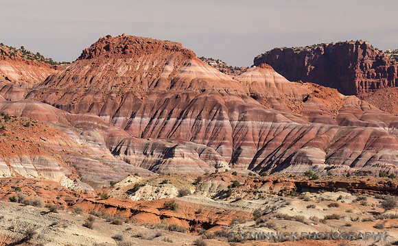 Paria River Valley Vista