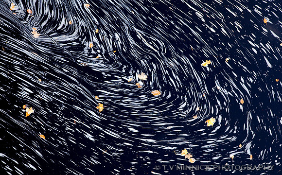 Leaf Swirl #2