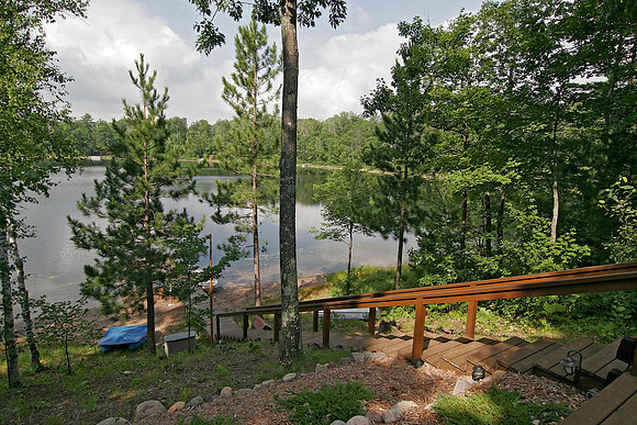 Summer Scene