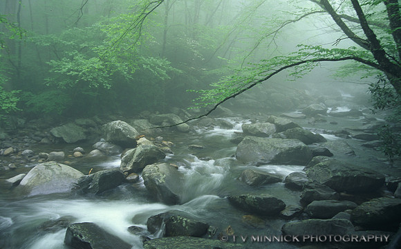 Foggy Mountain Stream