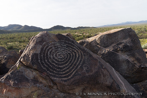 Concentric Circle Petroglyph
