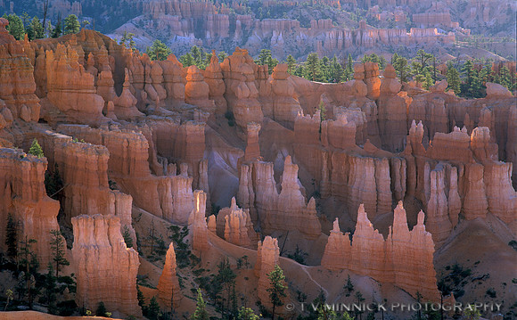 Bryce Canyon at Dawn