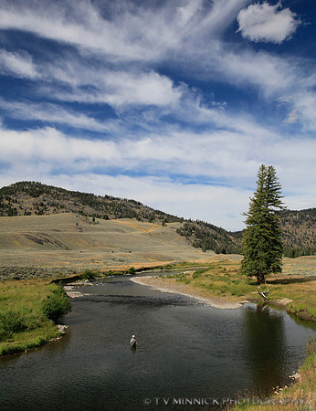 Fisherman's Solitude