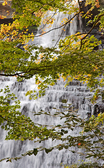 Brandywine Falls
