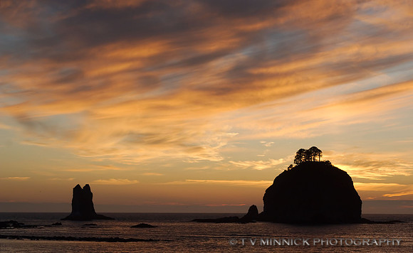 Olympic Coast Sunset
