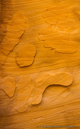 Nature's Rock Art