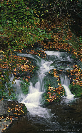 Smokies Waterfall