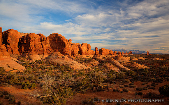 Garden of the Gods