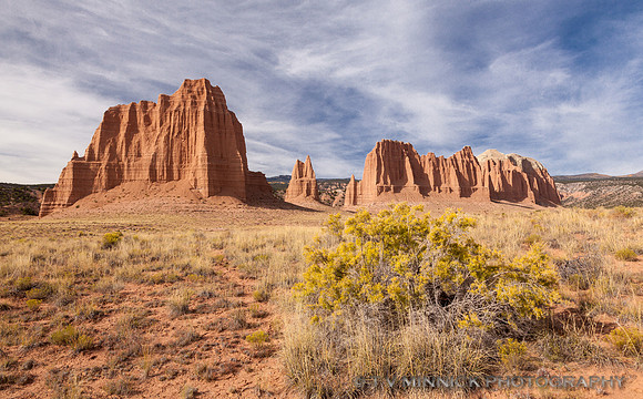 Lower Cathedral Valley