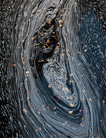 Swirling Leaves