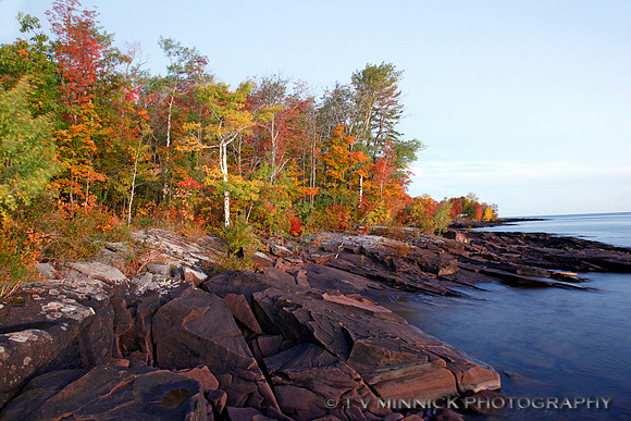Union Bay  Shoreline