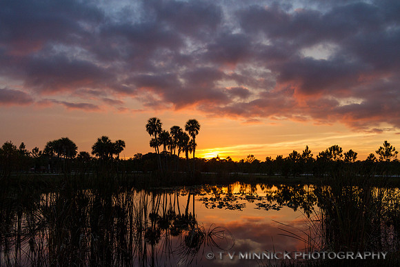 Florida Sunset