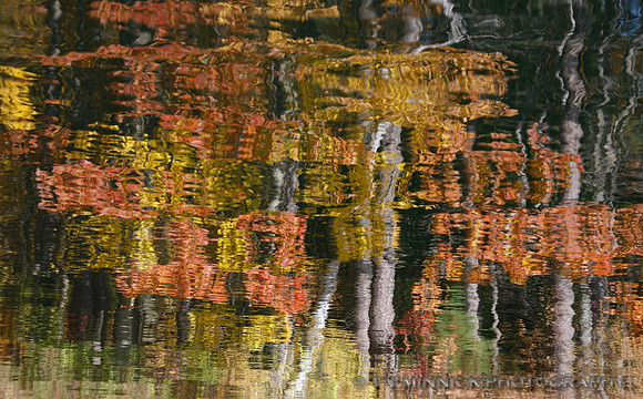Autumn Reflection 102