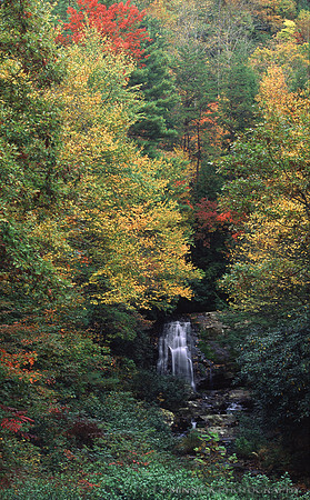 Waterfall in Autumn