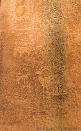 Ancient Petroglyphs