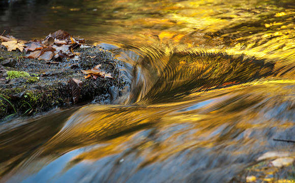 Waterfall Reflection