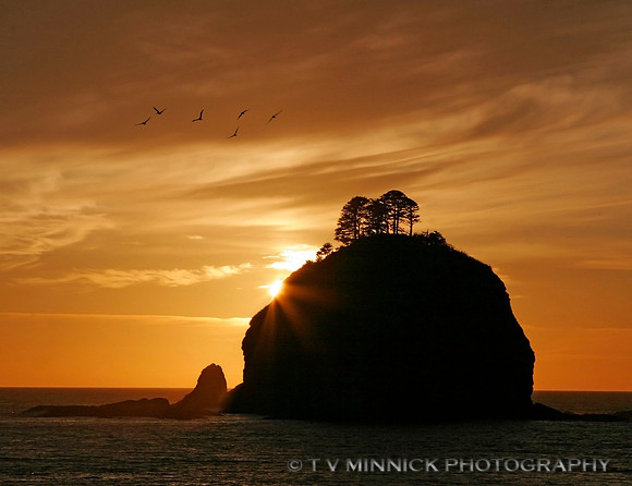 Seastack Sunset