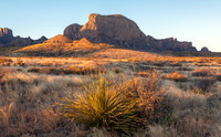Early Light on Desert Peak