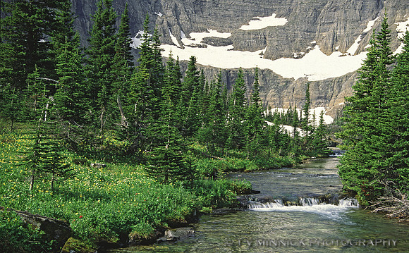 Glacial Mountain Stream