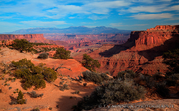 Canyonlands Vista