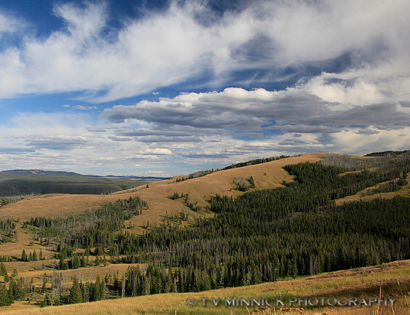 Yellowstone High Country