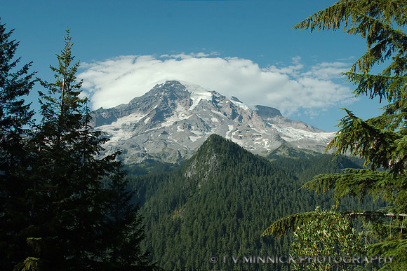 Mt. Rainier Vista