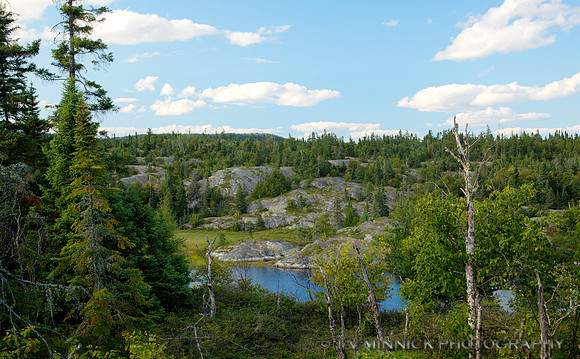 Halfway Lake Vista