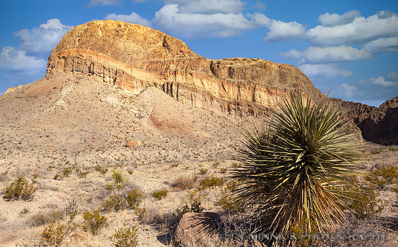Burro Mesa