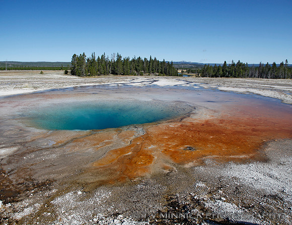 Beauty Pool
