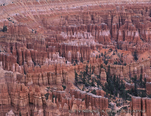 Bryce Amphitheater