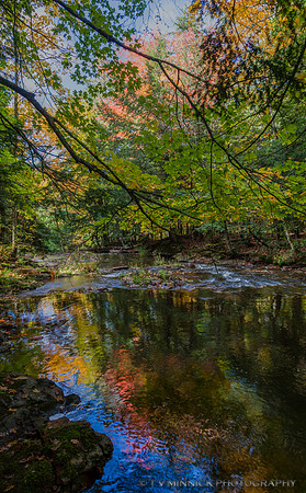 Autumn Reflection on Carp River