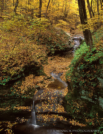 Falls at Starved Rock