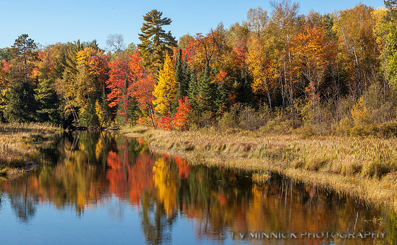 Trout River in Autumn