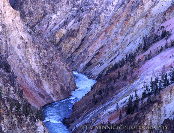 Colors of the Canyon