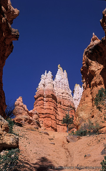 Bryce Hoodoos