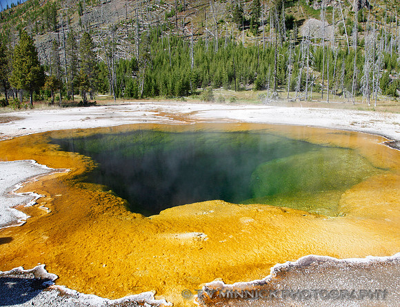 Emerald Pool