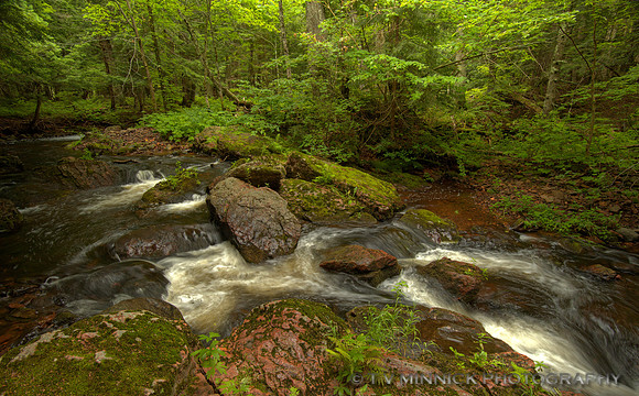 Little Carp River