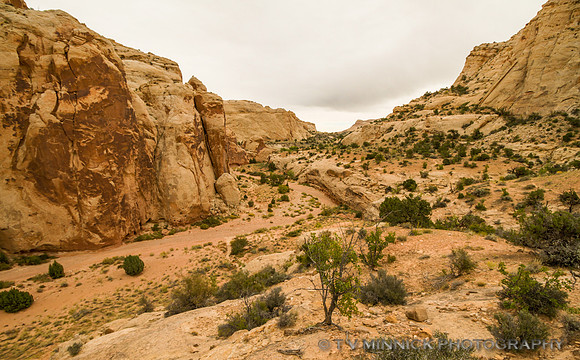 In the Grand Wash