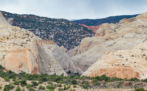 Canyon in the Fold